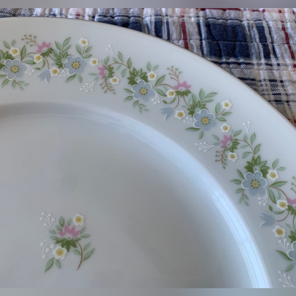 Two (2) Dinner Plates Forever Spring by Johann Haviland Bavaria Germany